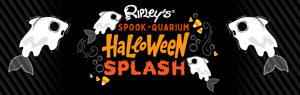 MBAQ21-0147HalloweenEvent1025X325