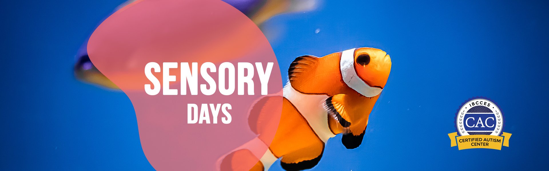 Sensory-Web-Header-1