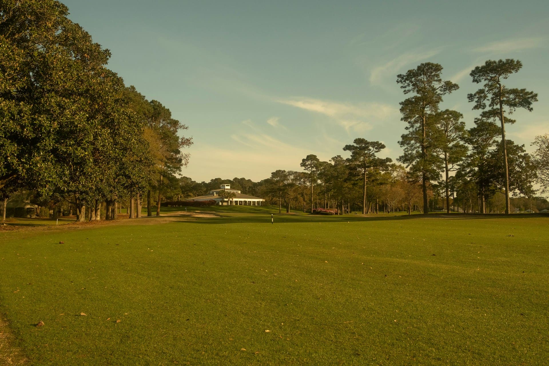 justin-hall-hbN-nqRDILo-unsplash (1)